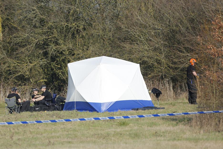 NINTCHDBPICT000471246561