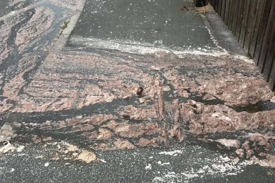 Parents Navigate Sewage Chaos on School Run After Burst Pipe Floods Pavement for a Week