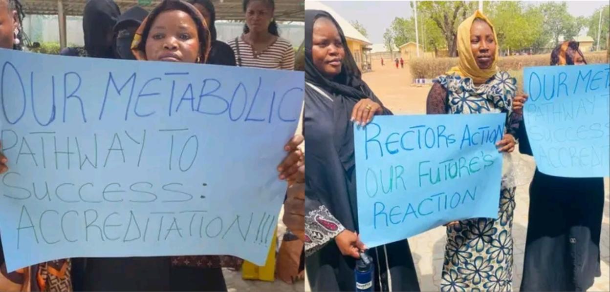 Adamawa Poly Graduates Rally Against Delays in Accreditation