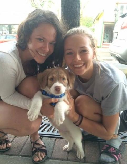 NINTCHDBPICT001015739052