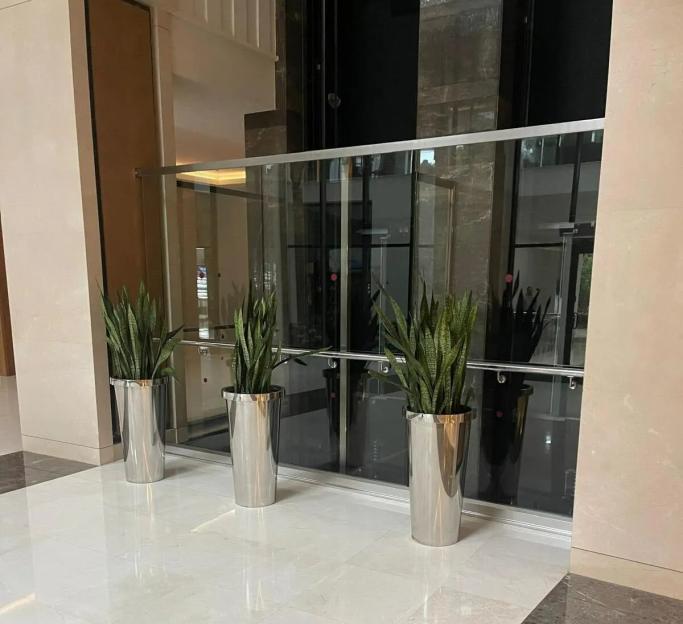 Interior of a hotel lobby with three plants in planters near glass elevator doors.