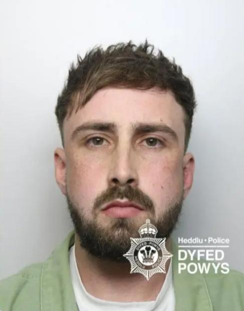 NINTCHDBPICT001056863175