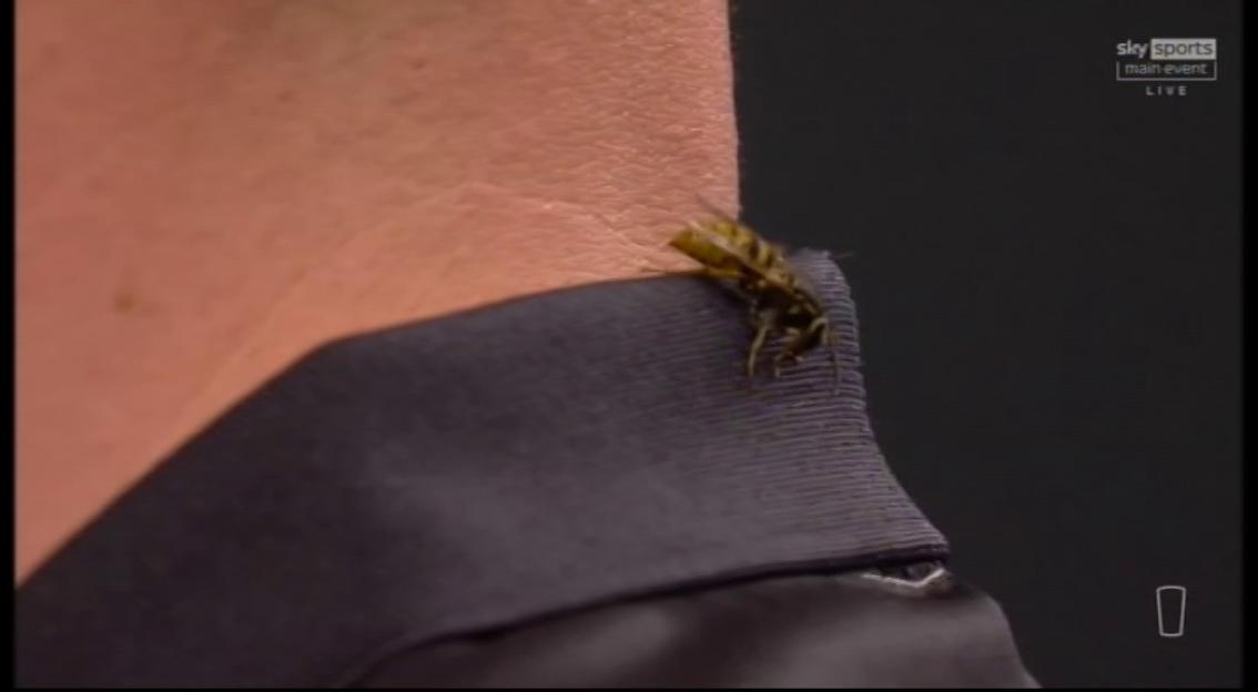 NINTCHDBPICT001045339869