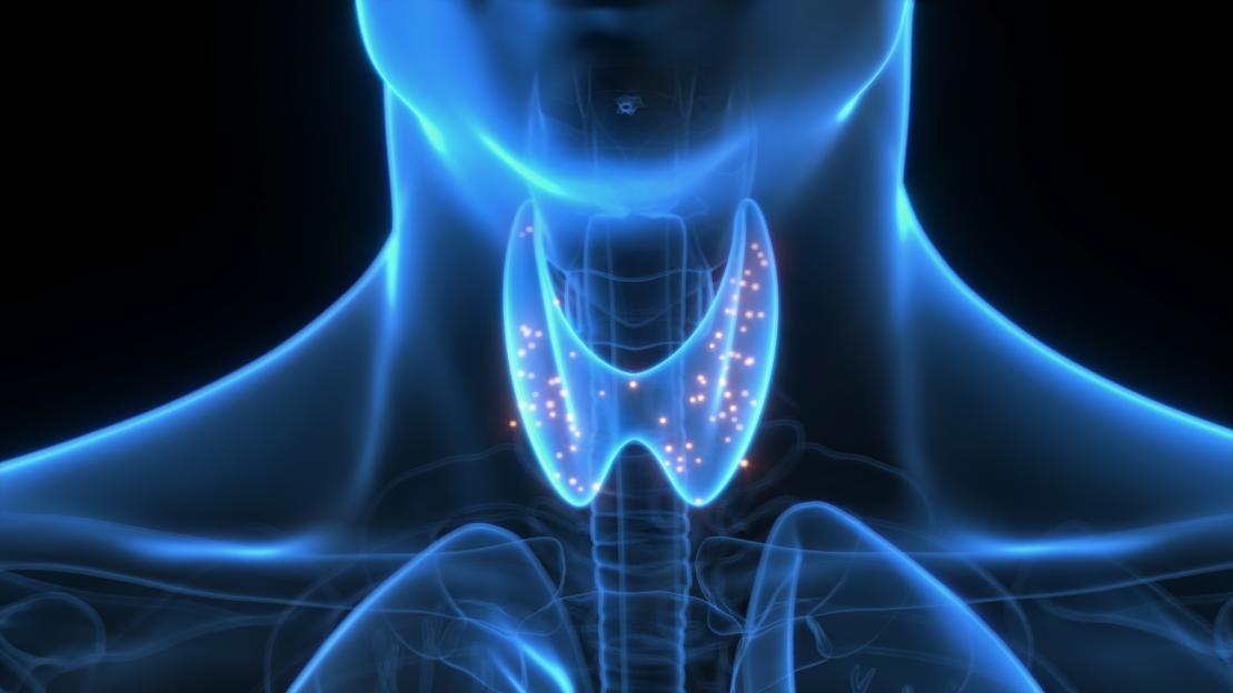 Illustration of the thyroid gland in the human neck with glowing hormones.