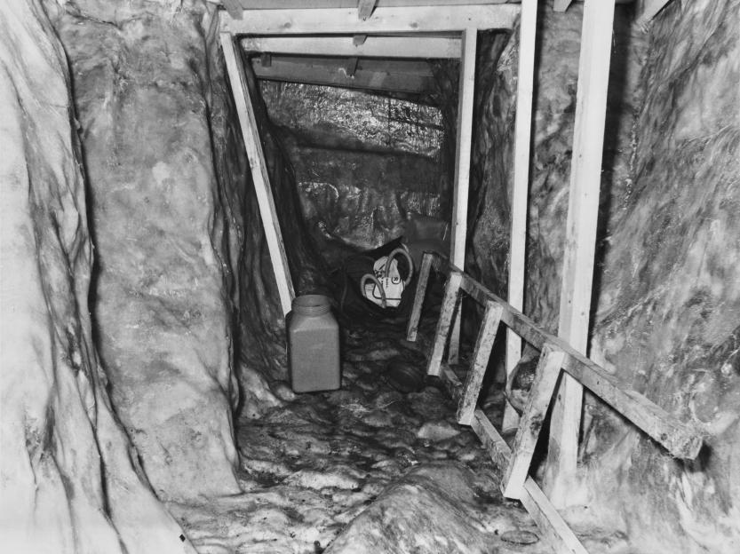 NINTCHDBPICT001040964468