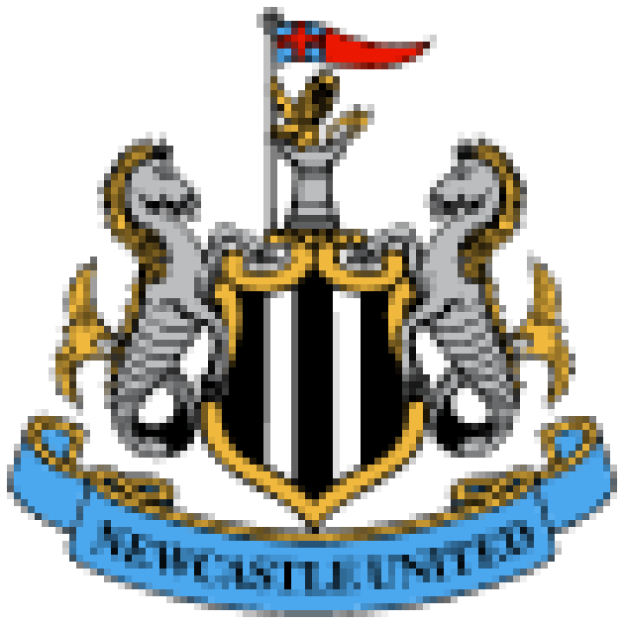 Epl-teamnewcastle