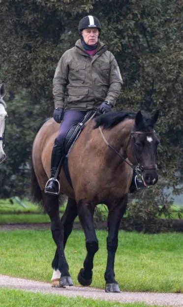Andrew Mountbatten-Windsor riding a horse on the Windsor Estate.