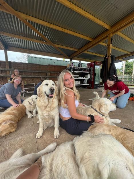 A group of people sitting and kneeling on a patio under a corrugated roof with several Golden Retrievers.