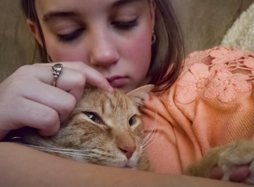 Dog Owners Report 41% Higher Happiness Levels Compared to Cat Owners and Non-Pet Owners, Study Reveals