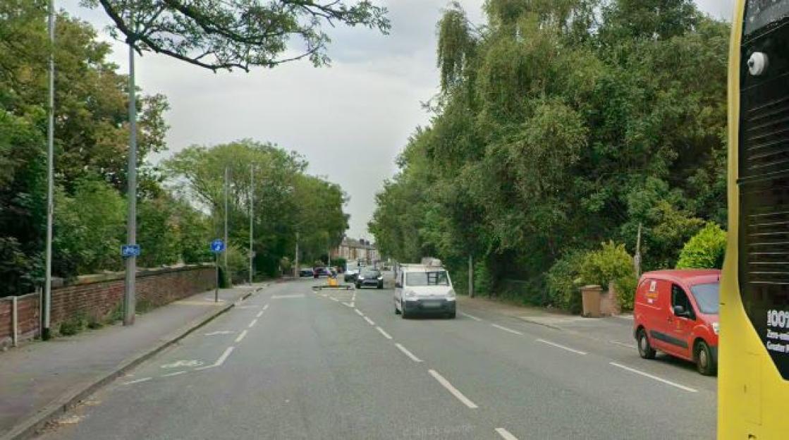 A street view of a road with a bike lane, trees, and cars.