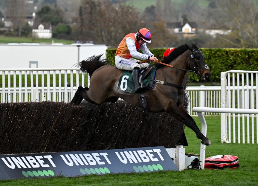 Racehorse Haiti Couleurs and jockey Ben Jones jumping over a hurdle at the Cheltenham Racing Festival.
