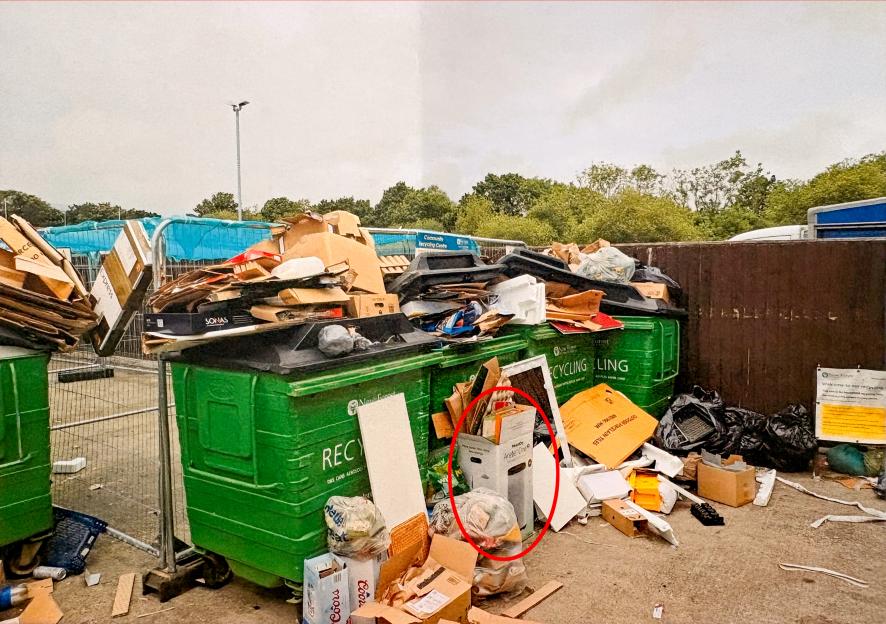 A red circle highlights a cardboard box on the ground next to overflowing recycling bins filled with other cardboard boxes.