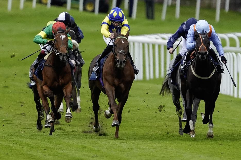 Ex-World Snooker Champion Hits Jackpot with £20,000 Win at Chester Races, Thanks to Horse from Michael Owen's Stables!