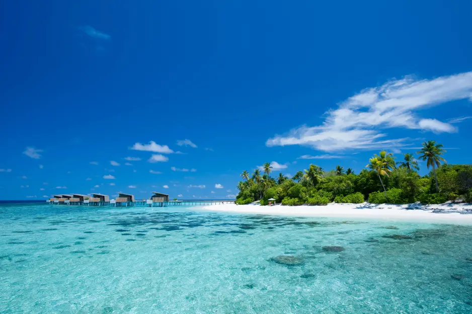 Bungalows in the turquoise ocean near a white sand beach with palm trees and green vegetation.