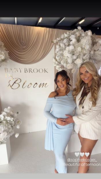 NINTCHDBPICT001076483200