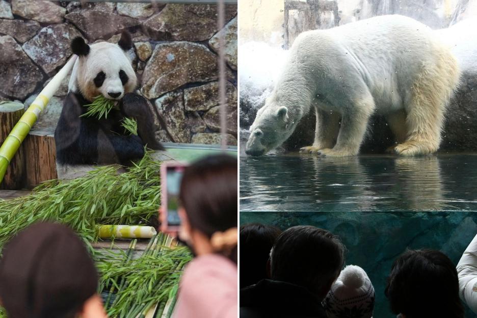 Zoo Opening Postponed Following Shocking Incident Involving Employee and Wife's Body Discovery