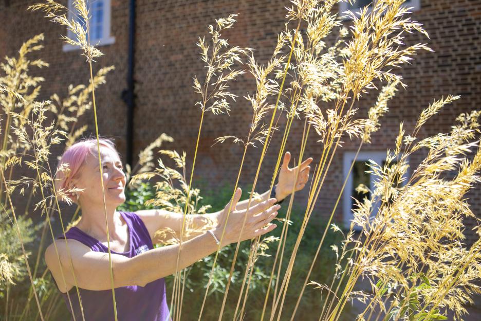Lucy Hart, Head Gardener, reaching her hands through tall golden grasses in a no-watered garden bed.