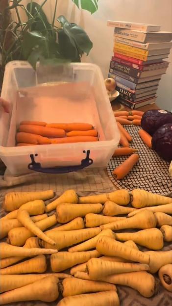 Carrots in a container and parsnips on a tablecloth.