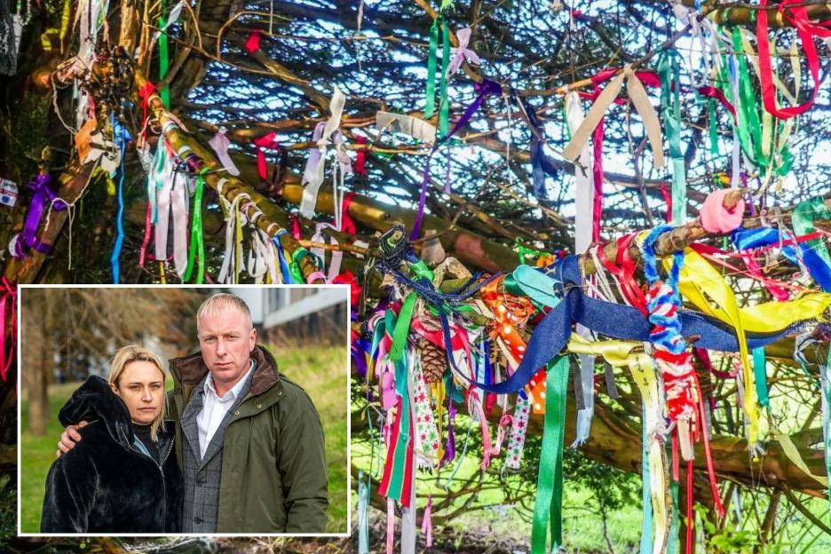 Self-Styled 'Witch' Destroys Memorials for Deceased Teen, Claims They 'Harmed the Environment'