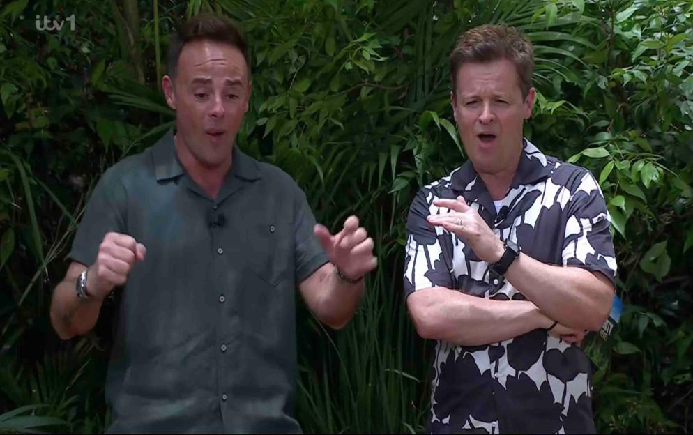 Anthony McPartlin and Declan Donnelly hosting a jungle doomsday vault trial.