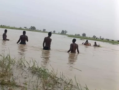 One child rescued, another missing after river incident in Yobe