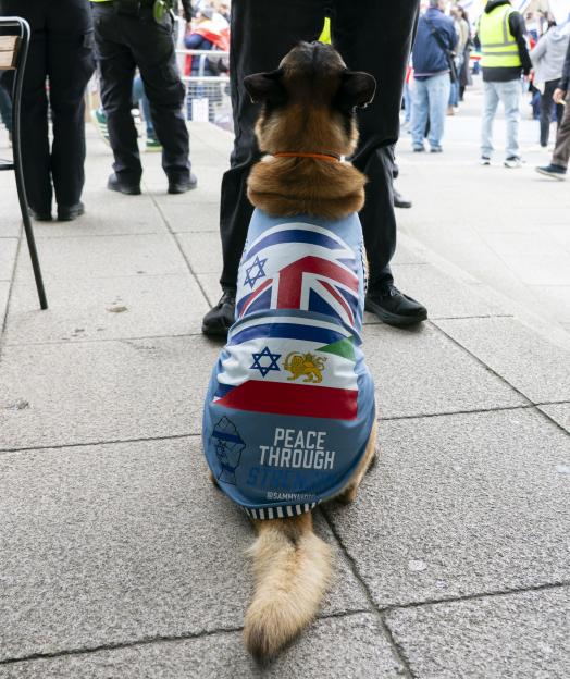 NINTCHDBPICT001066831808