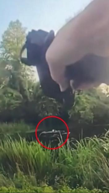 Driver Snatched by ALLIGATOR After Police Chase – Officers Share Hilarious AI Image of the 'Uniformed' Creature!