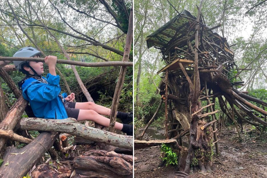 Heartwarming Treehouse Built by Dad and His 9-Year-Old Son Faces Demolition Due to Council Red Tape