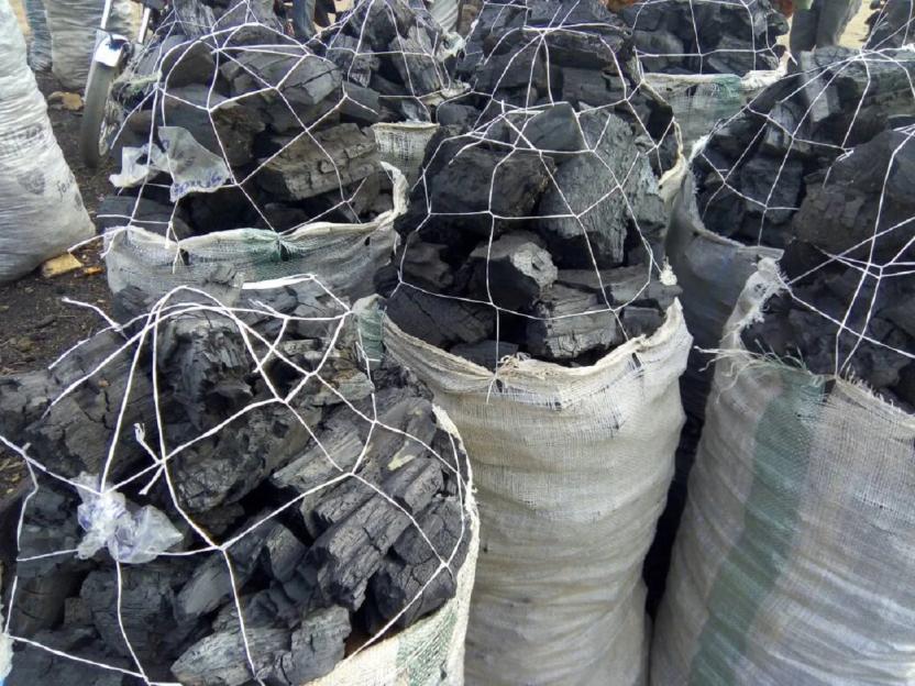 Taraba Takes a Stand Against Illegal Charcoal Trade