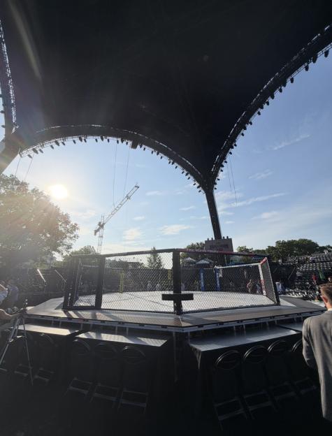 An empty UFC fighting cage on an outdoor stage with the sun shining.