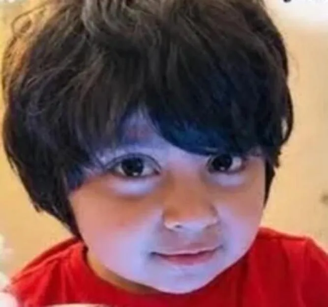Dad executes sons, 4 and 11, in street in broad daylight after McDonald's visit