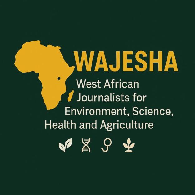 West African Journalists Speak Out Against Surge in Xenophobia in South Africa