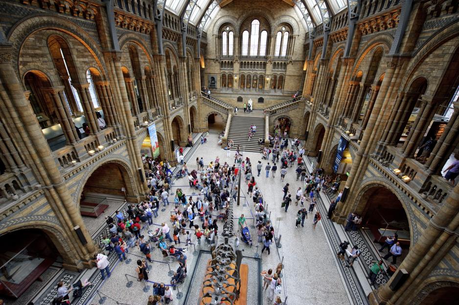 People visiting the Natural History Museum in London, England.