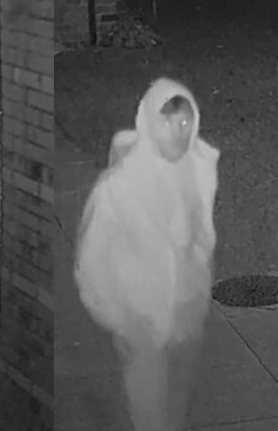 NINTCHDBPICT001057754765