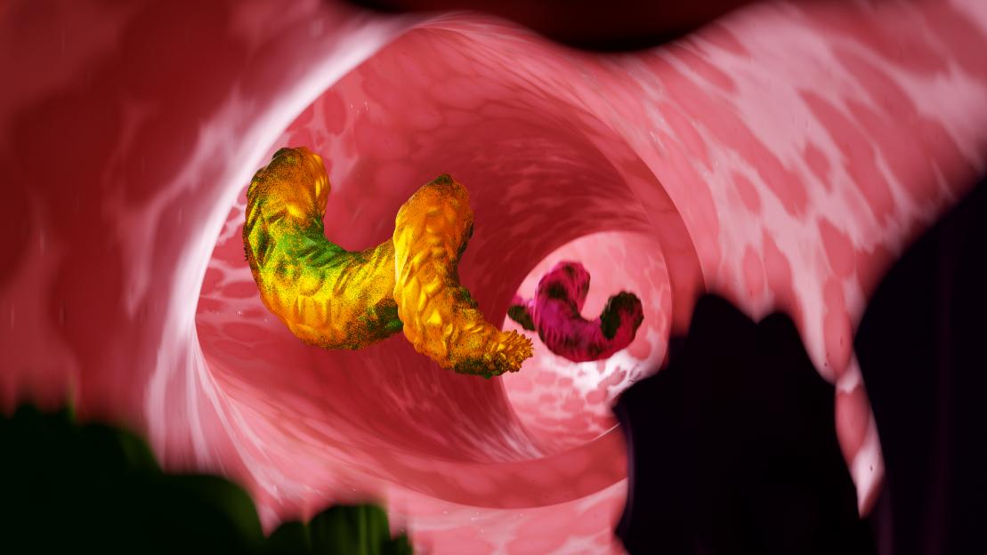 Parasites Threaten Digestive Health