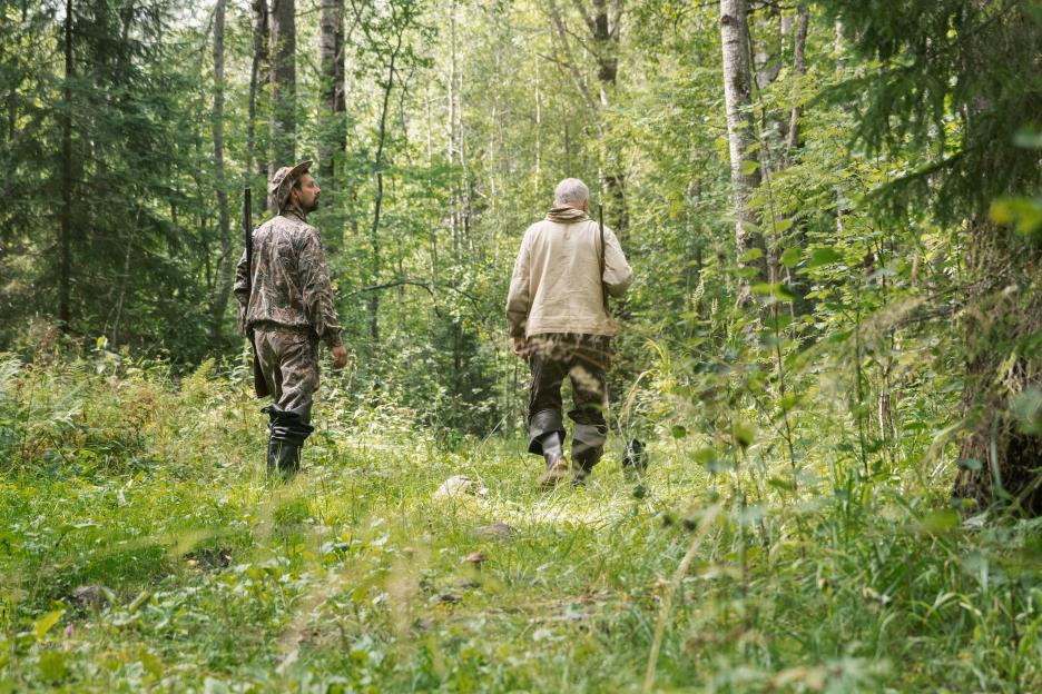Two hunters with hunting rifles walking through the forest with a dog