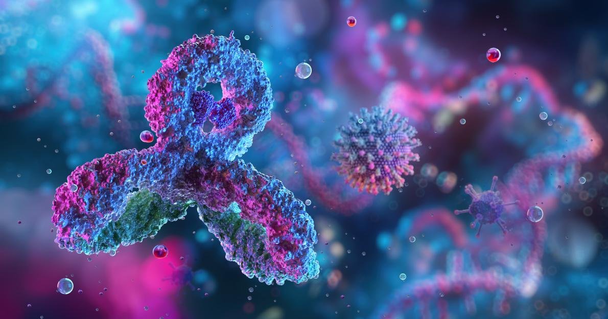 Antibodies, immunoglobulin Ig proteins 3D medical image.