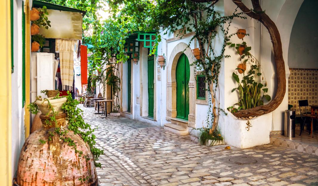 Street in the Mahdia medina with buildings featuring green doors and lush green plants.