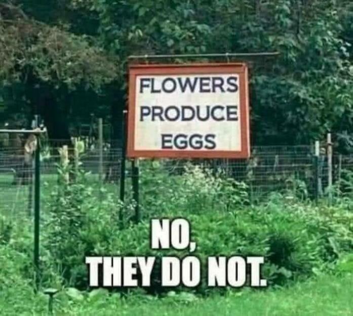 A sign in a garden that reads "FLOWERS PRODUCE EGGS" with a caption below saying "NO, THEY DO NOT."