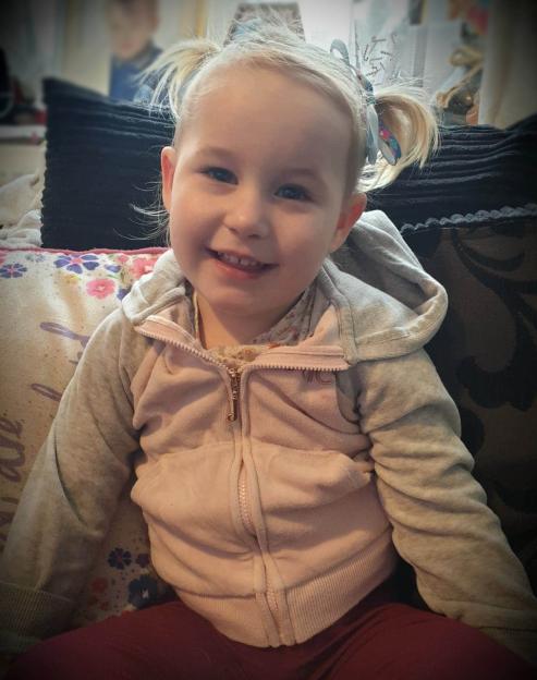 A young blonde girl in pigtails smiles at the camera, wearing a pink and grey hooded jacket.