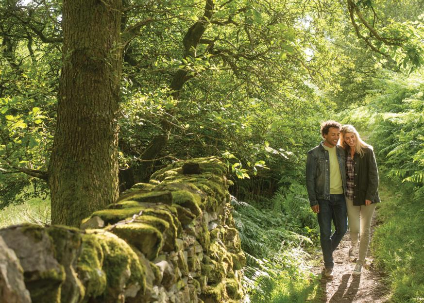 A couple walks through a lush green park on a sunny day.