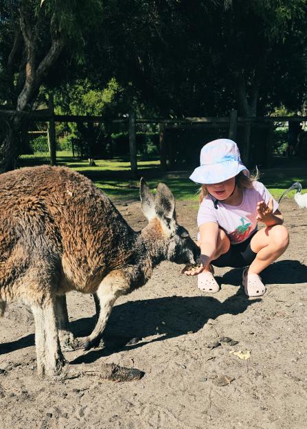 VIDEO: ¿We left our hamster wheel life in the UK to world-school our children ¿ and we¿ve got no regrets¿