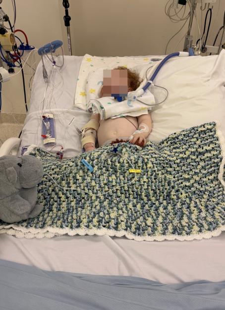 Health Update: Toddler in Coma After Inhaling Decoration Dust from Bluey-Themed Cake