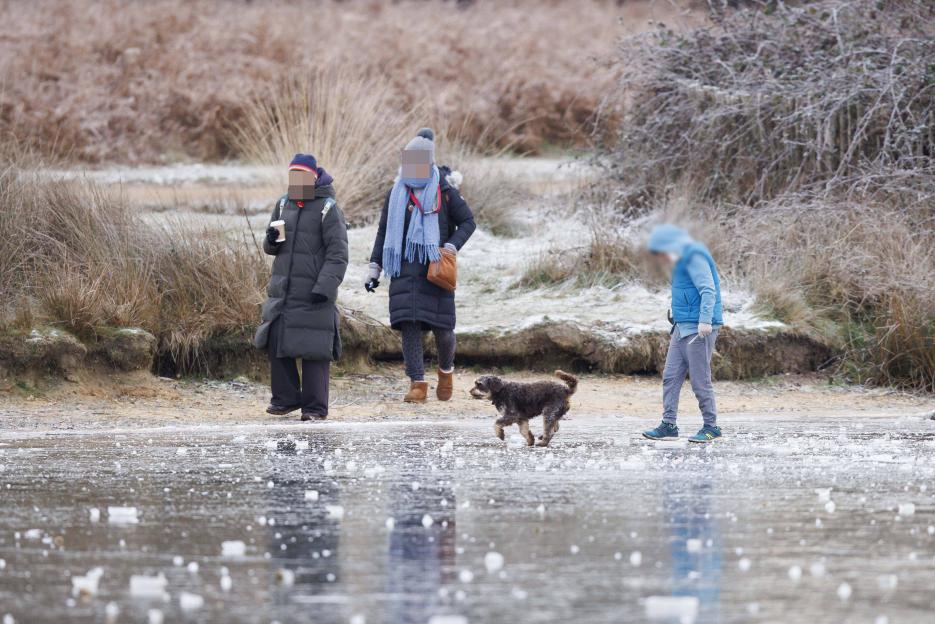 Two adults, one child, and a dog on a frozen pond in Richmond Park.