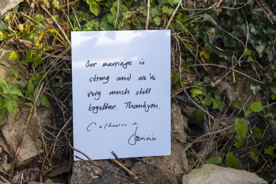 Dominic West and wife Catherine Fitzgerald