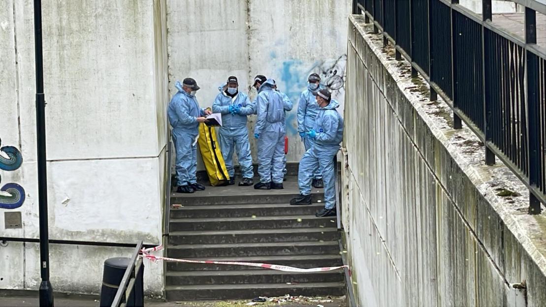 NINTCHDBPICT001071234532