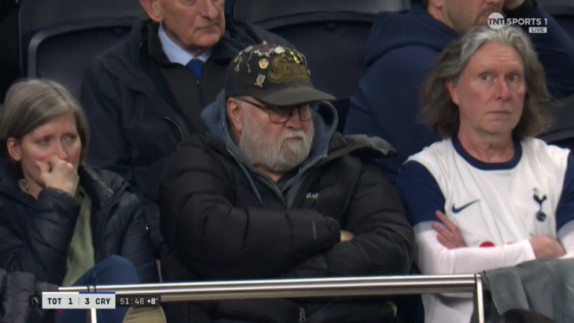 Disappointed Tottenham fans watching their team lose to Crystal Palace.