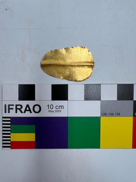 A gold artifact from the Roman era discovered in Minya, Egypt.