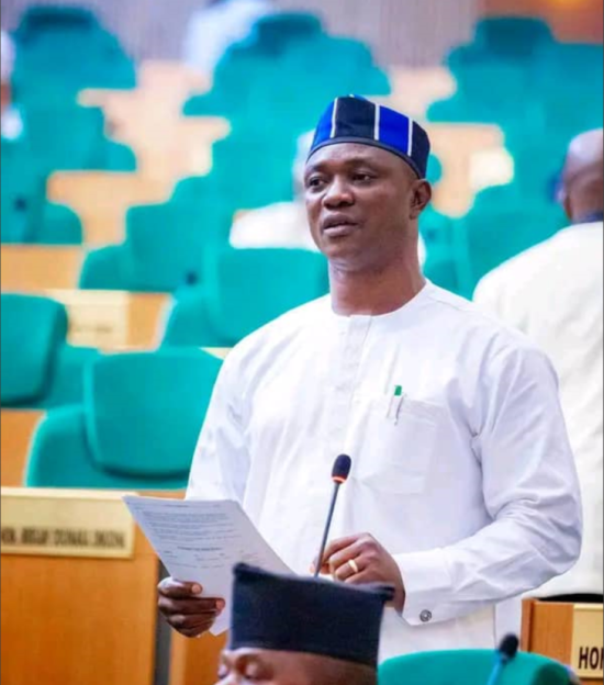 Ogewu, Reps Member, Clears the Air on 'Fools' Comment About Youths