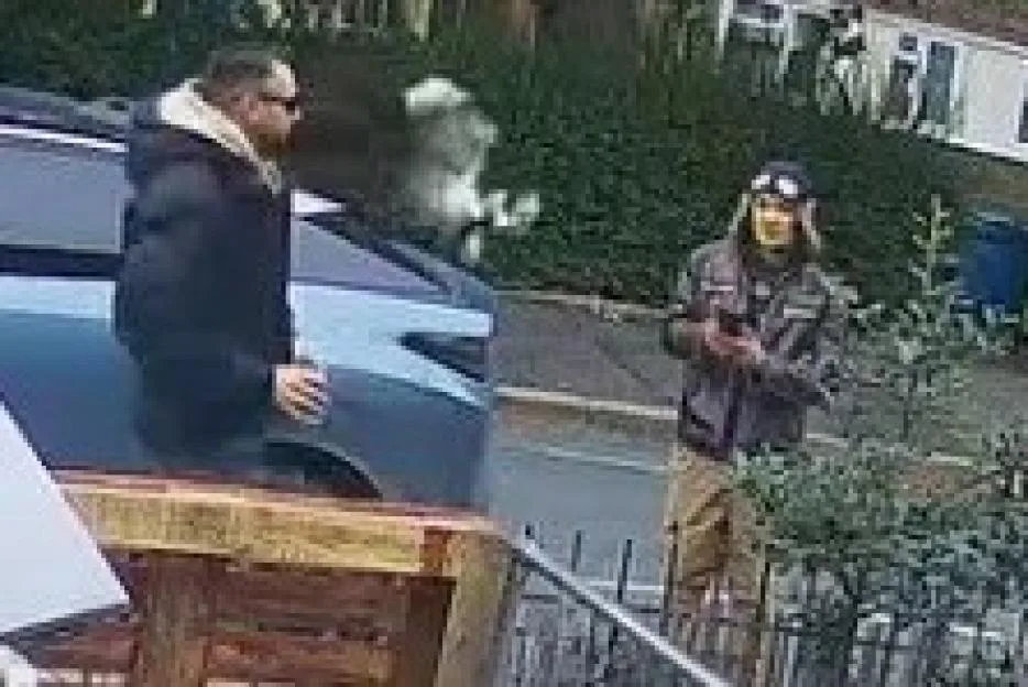 Shocking moment man grabs rabbit by the ears and carries him away from family home before dumping poor pet in car park